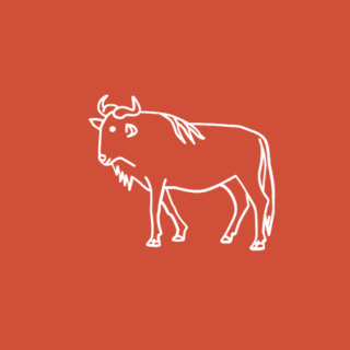 Orange Favicon logo
